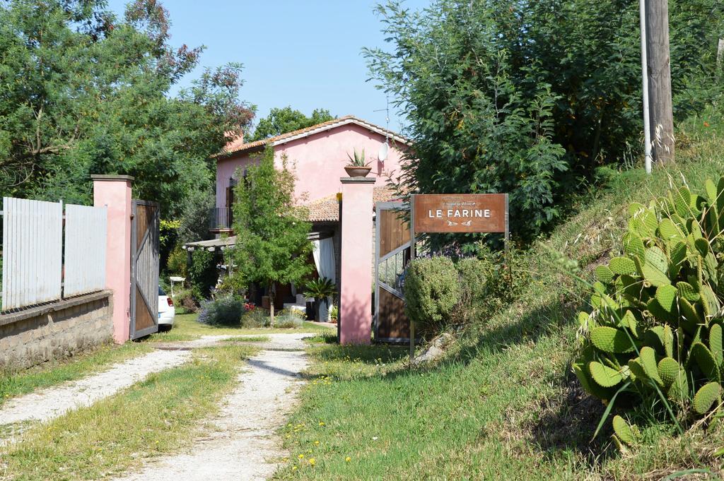 Il Casale Alle Farine ヴィテルボ エクステリア 写真